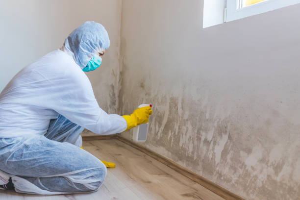 Mold Remediation specialist working in Lawrence